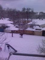 Снег 1.jpg
