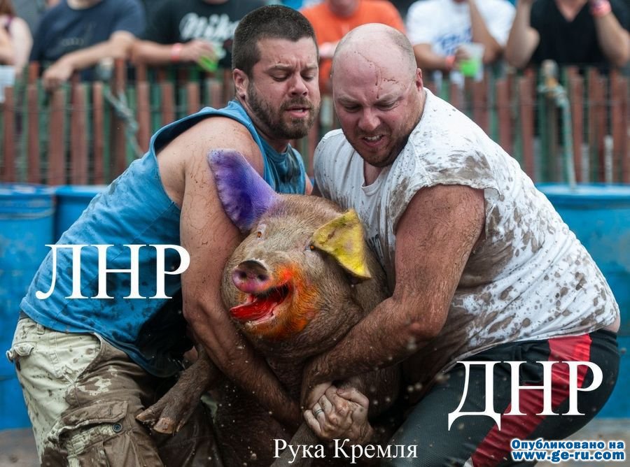 Укросвин.jpg