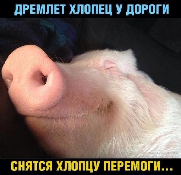 перемоги.jpg