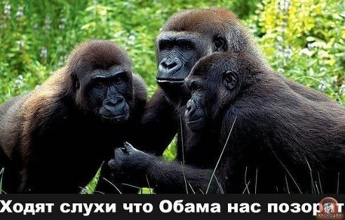 0FnHKvF1bqw.jpg