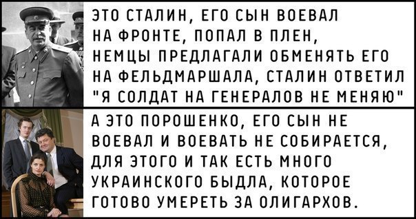 113beaaae221.jpg