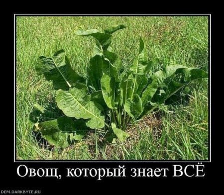 1323066322_13.jpg