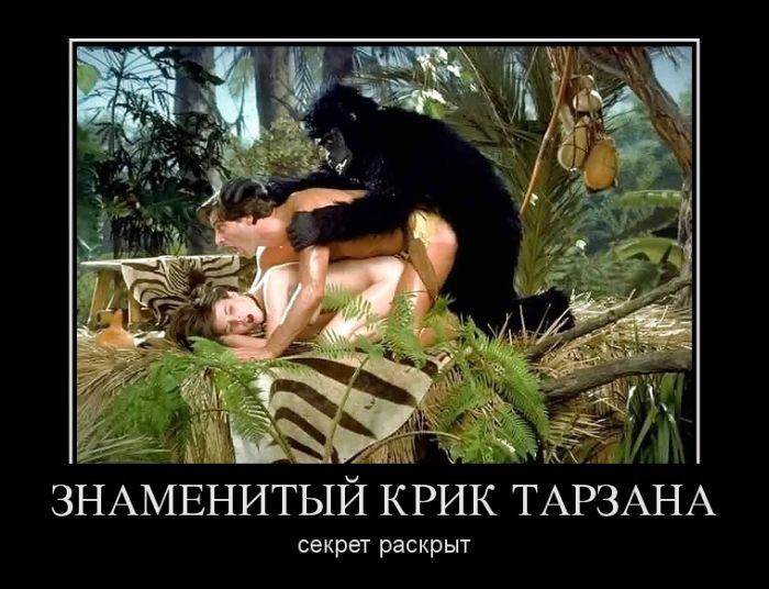 1336578867_307_demg.ru_.jpg