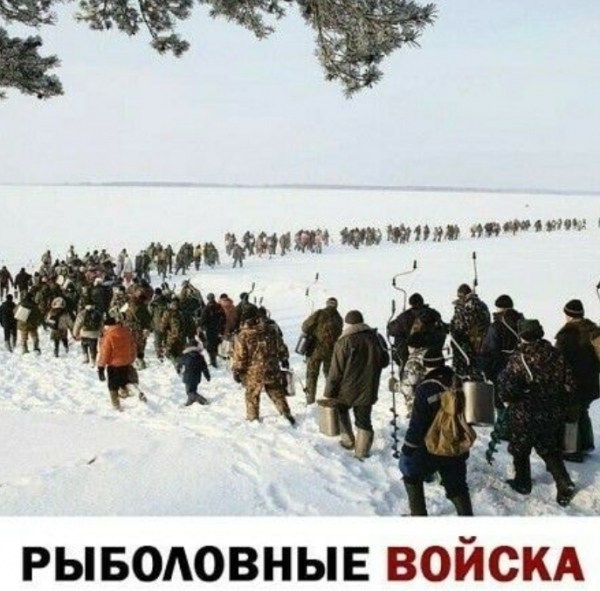 1649017619688.png