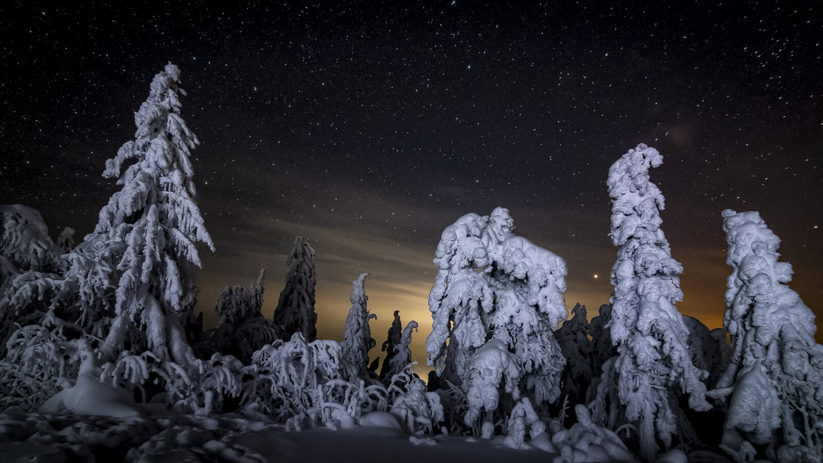 18_03_22 в 23ч28м фото Егор Драничников_-Звёздная ночь и мистические формы замороженных деревь...jpg