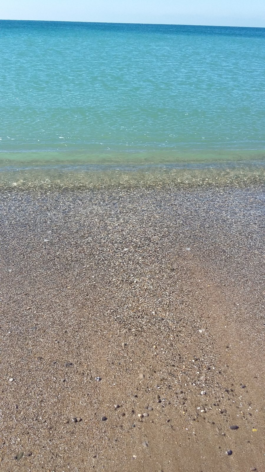 20170211_115234.jpg