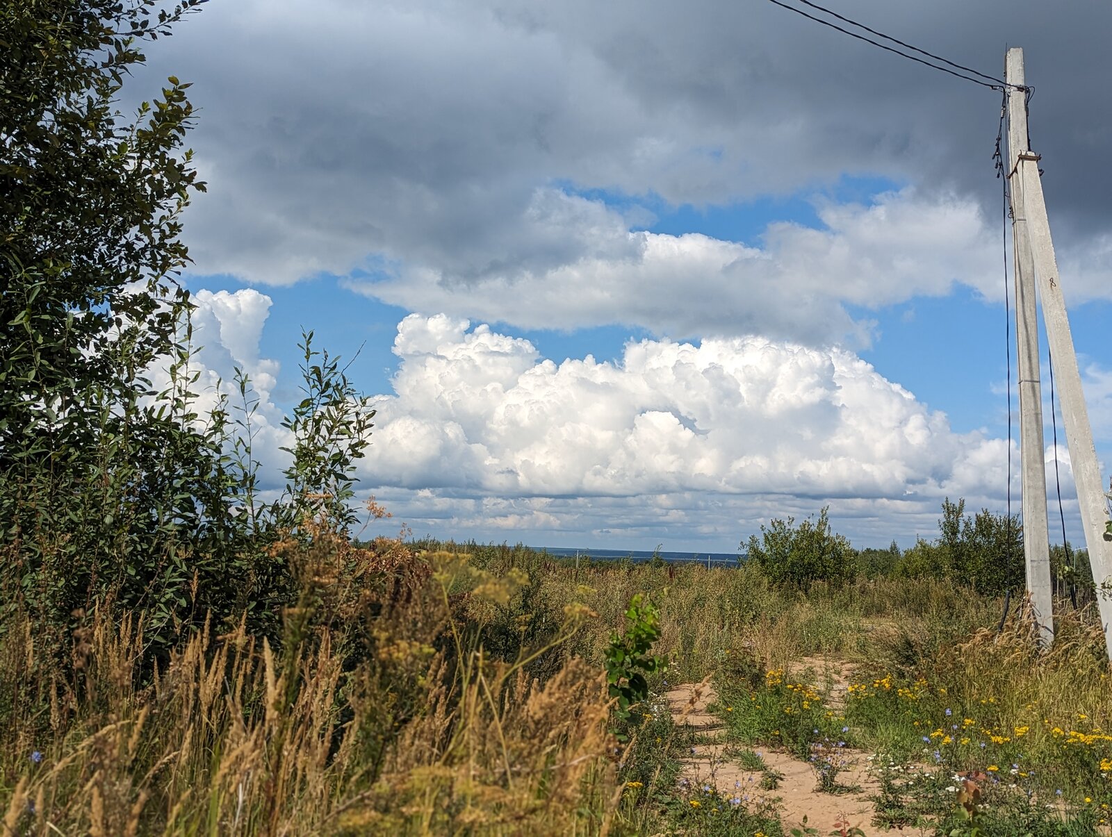 2023-08-16 12-22-13.JPG