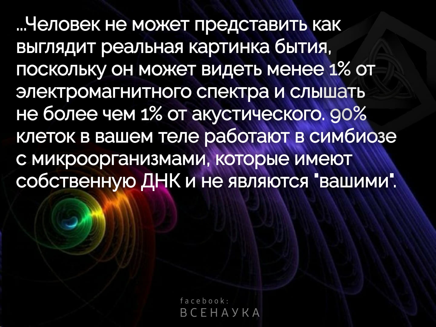 227895939_557467189031510_2704809724743928457_n.jpg