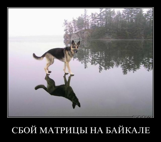 2f1db8e3daf3.jpg