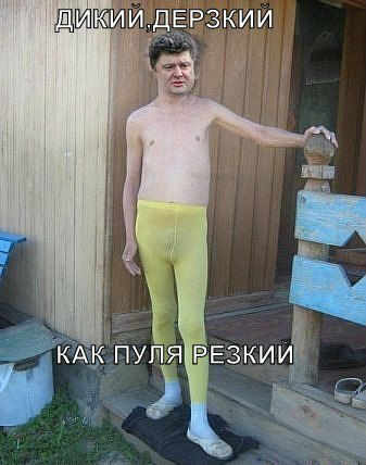 445305_600.jpg