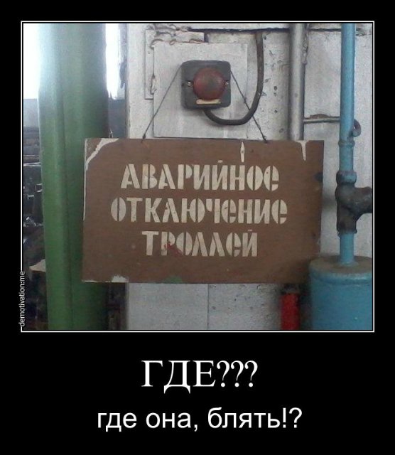 697c0fe5e541.jpg