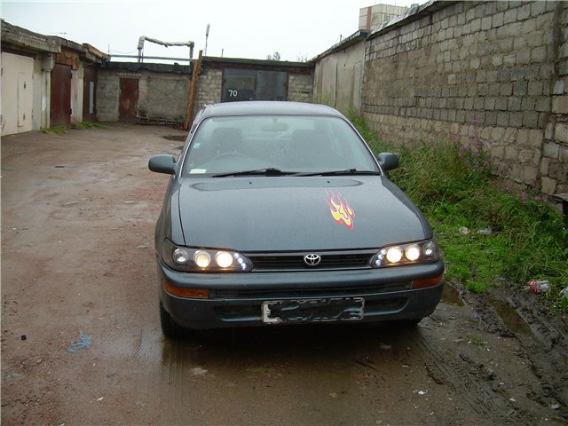 7447cb19cb62.jpg