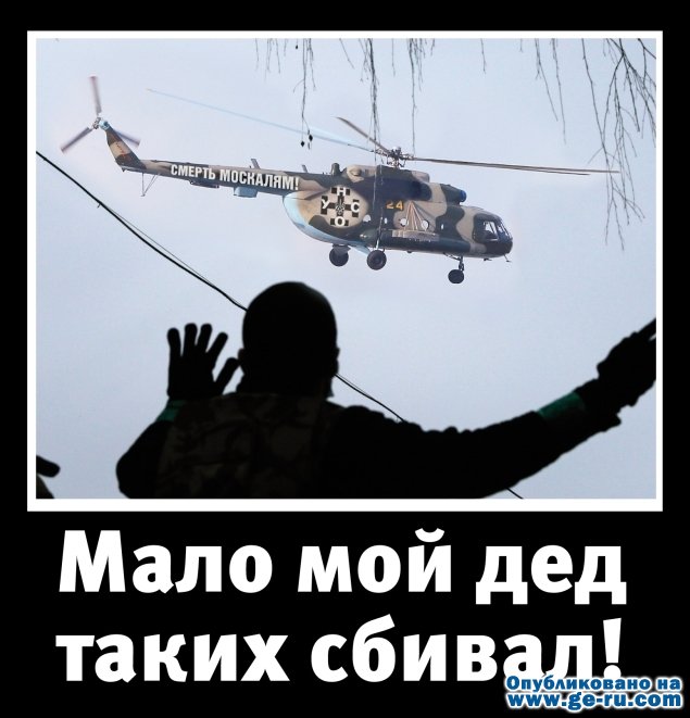 790268.jpg