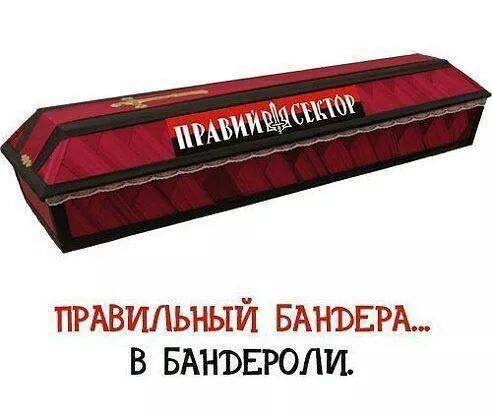 9-jau7h-_3A.jpg