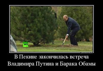 bb0f4f0c2591.jpg