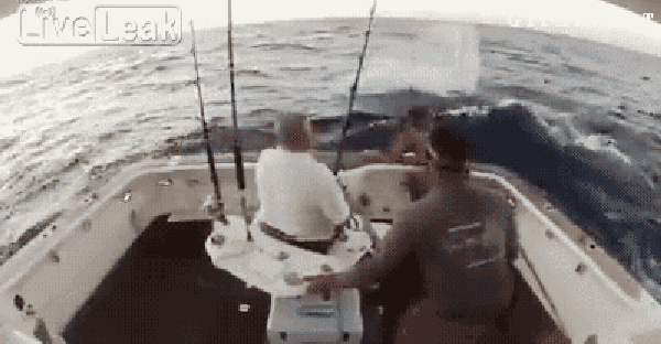 Big+fish+jumps+into+the+boat.12.gif