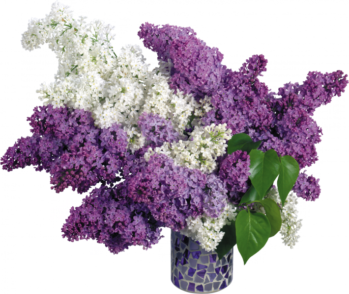 c1c78741ed00.png