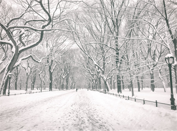 Central+Park+Winter+-+Poet%2527s+Walk+-+New+York+City-.jpg
