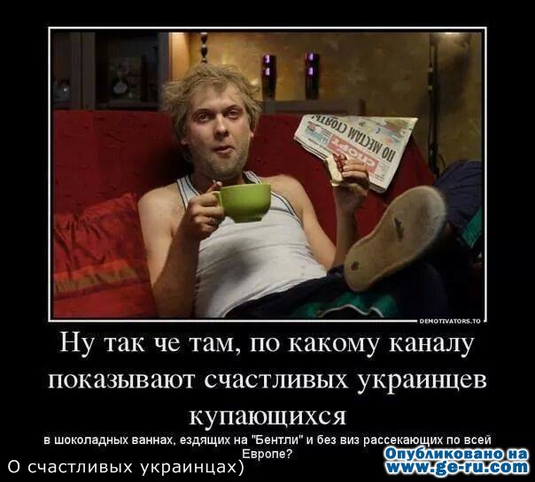 d3764452c95a.jpg