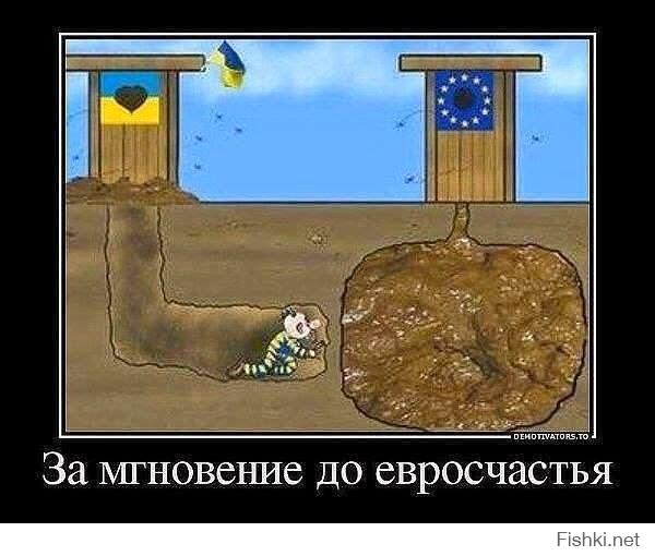 d6b3e459ef36cb0254642353a09f965b.jpg