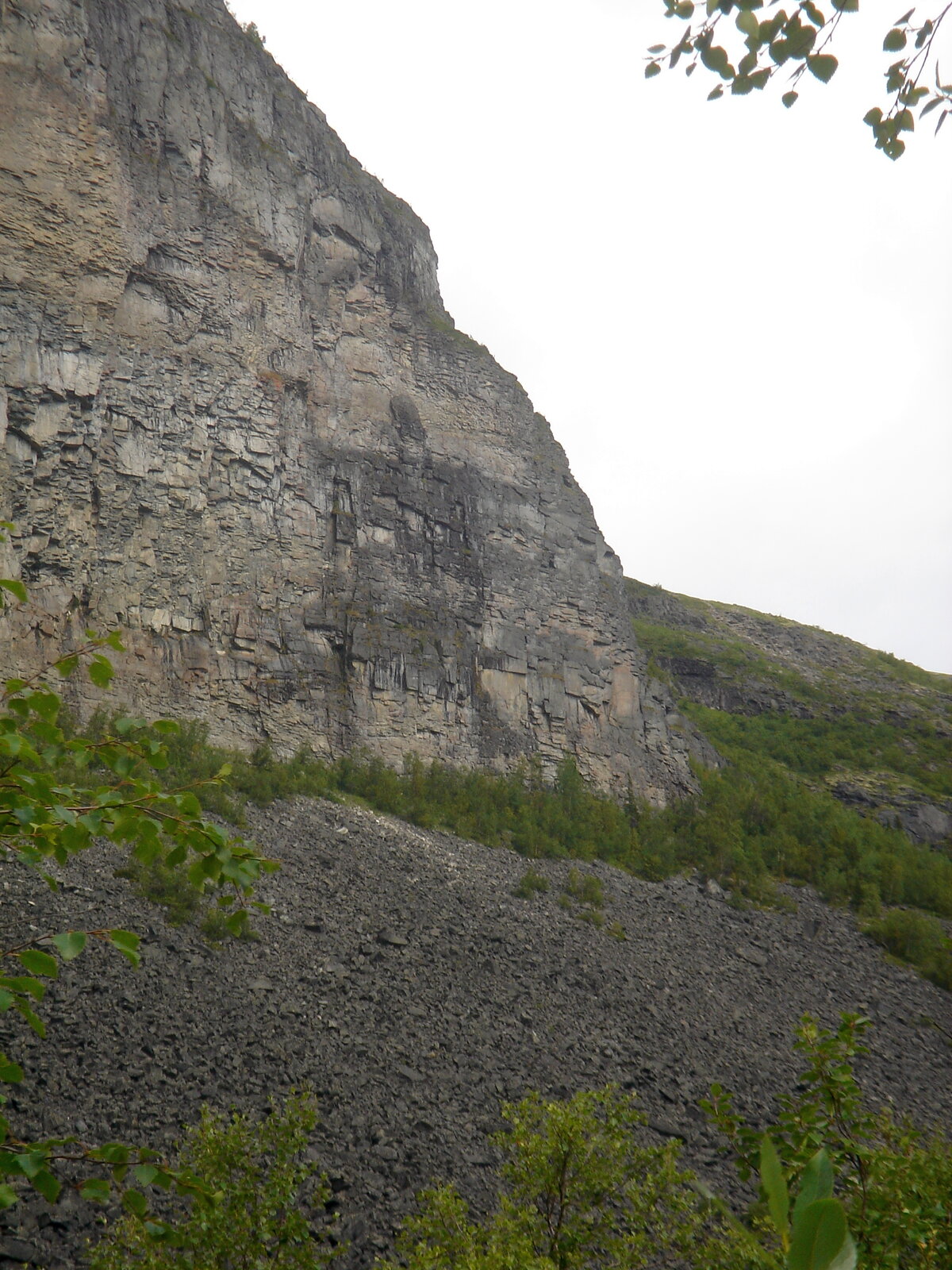 DSC01565.JPG