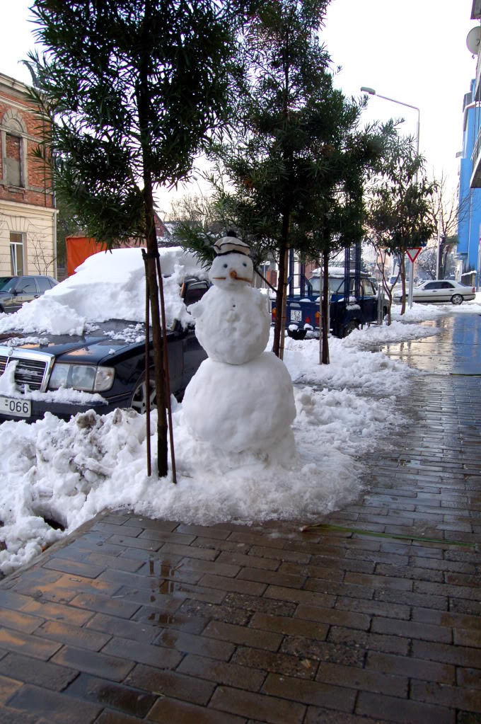 DSC_0091.jpg