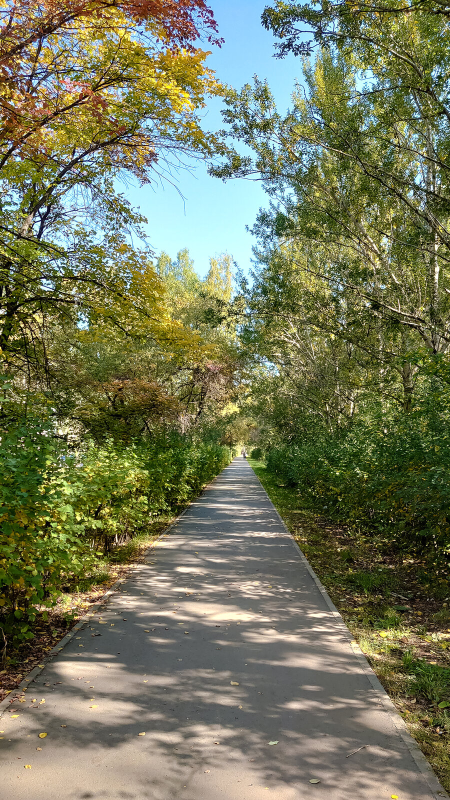 DSC_1143.jpg