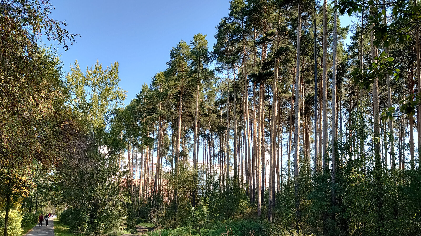 DSC_1147.jpg
