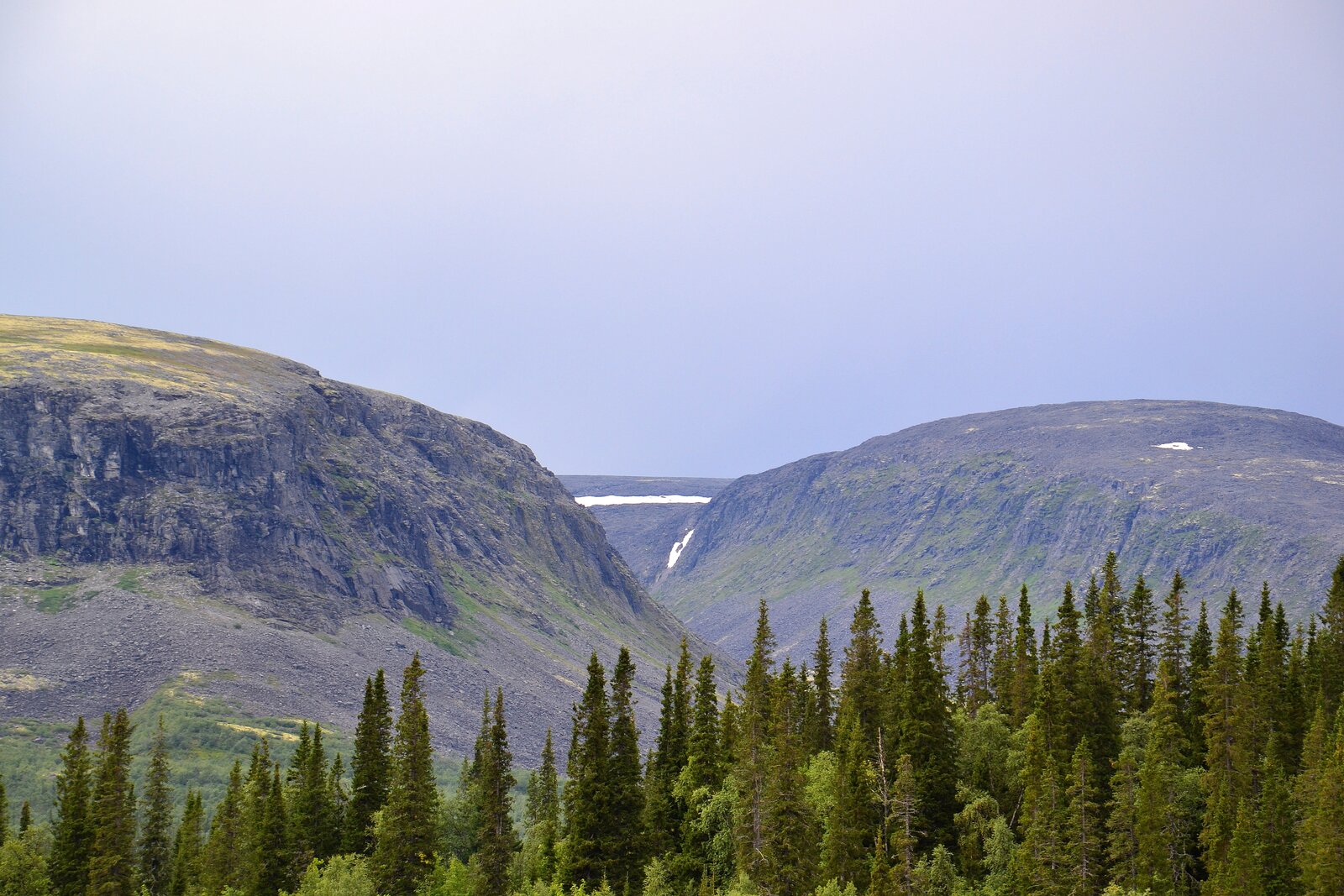 DSC_1308 а.jpg