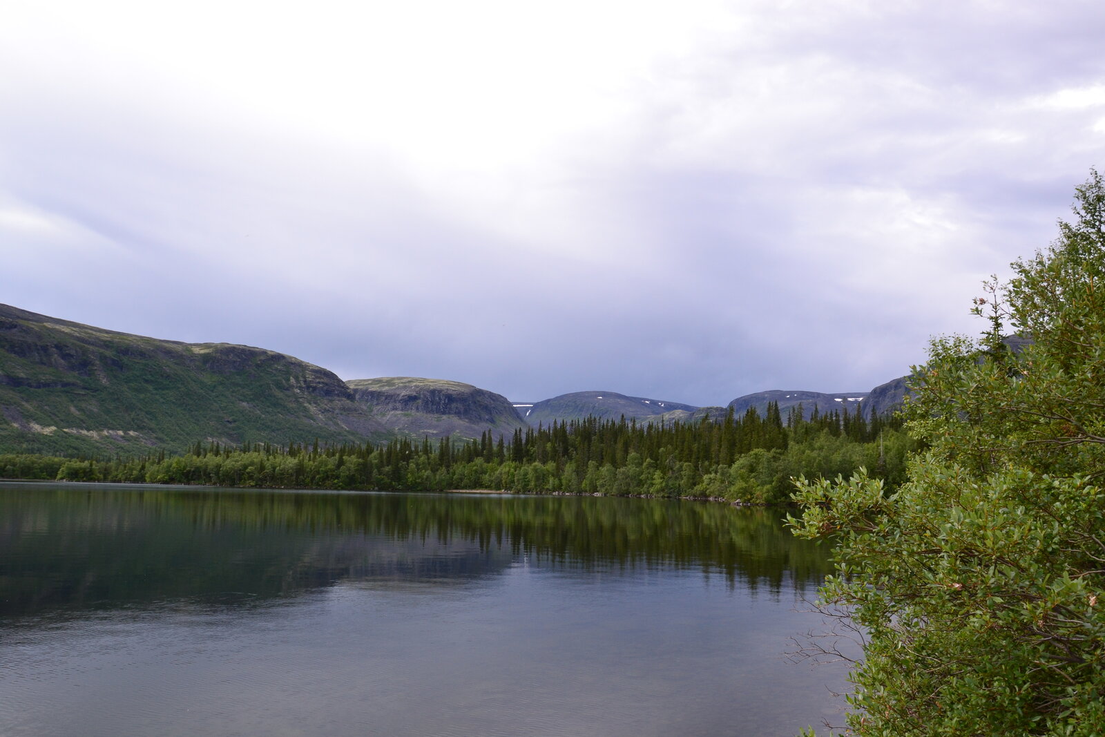 DSC_1314.JPG