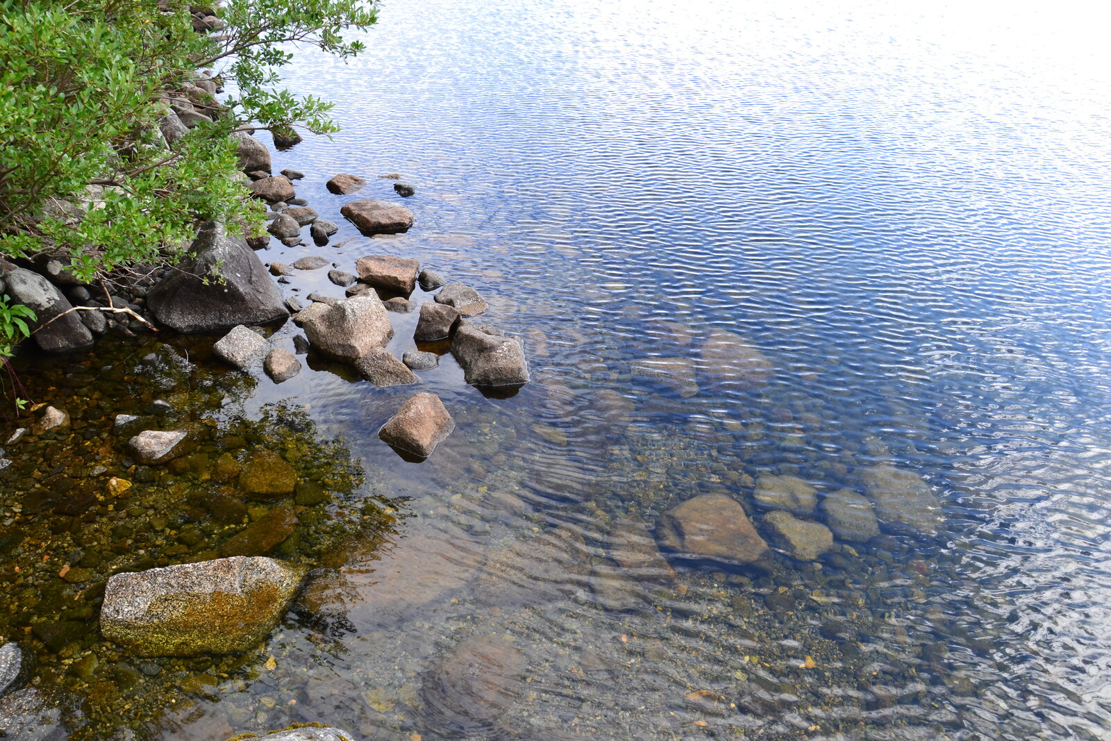 DSC_1316.JPG