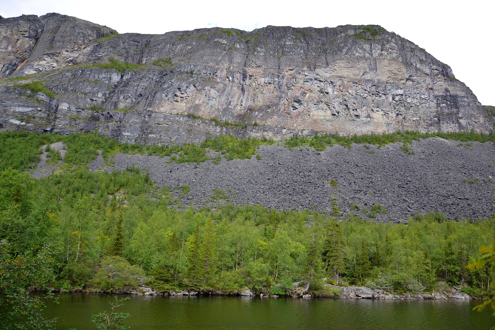 DSC_1325.JPG