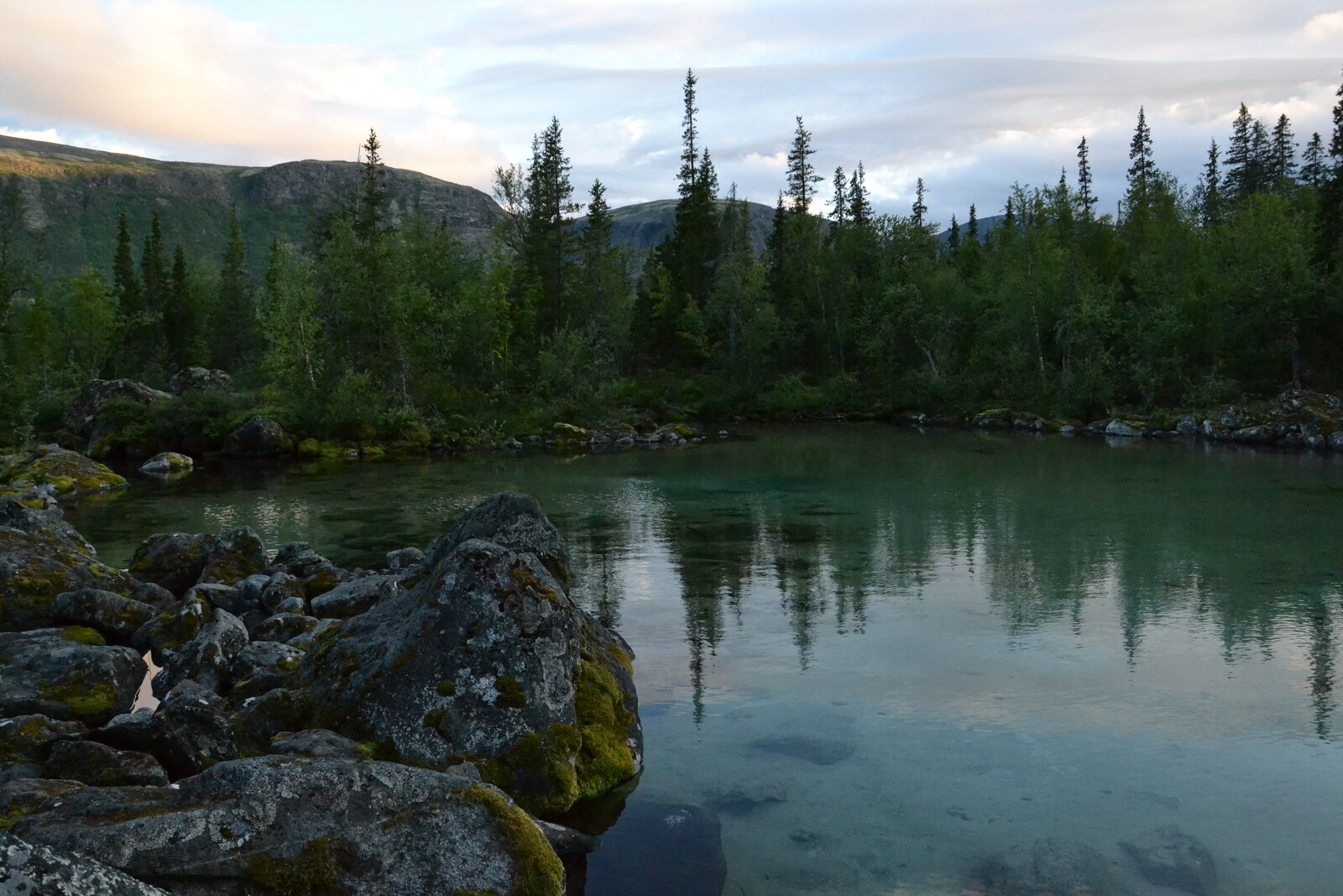 DSC_1400.JPG