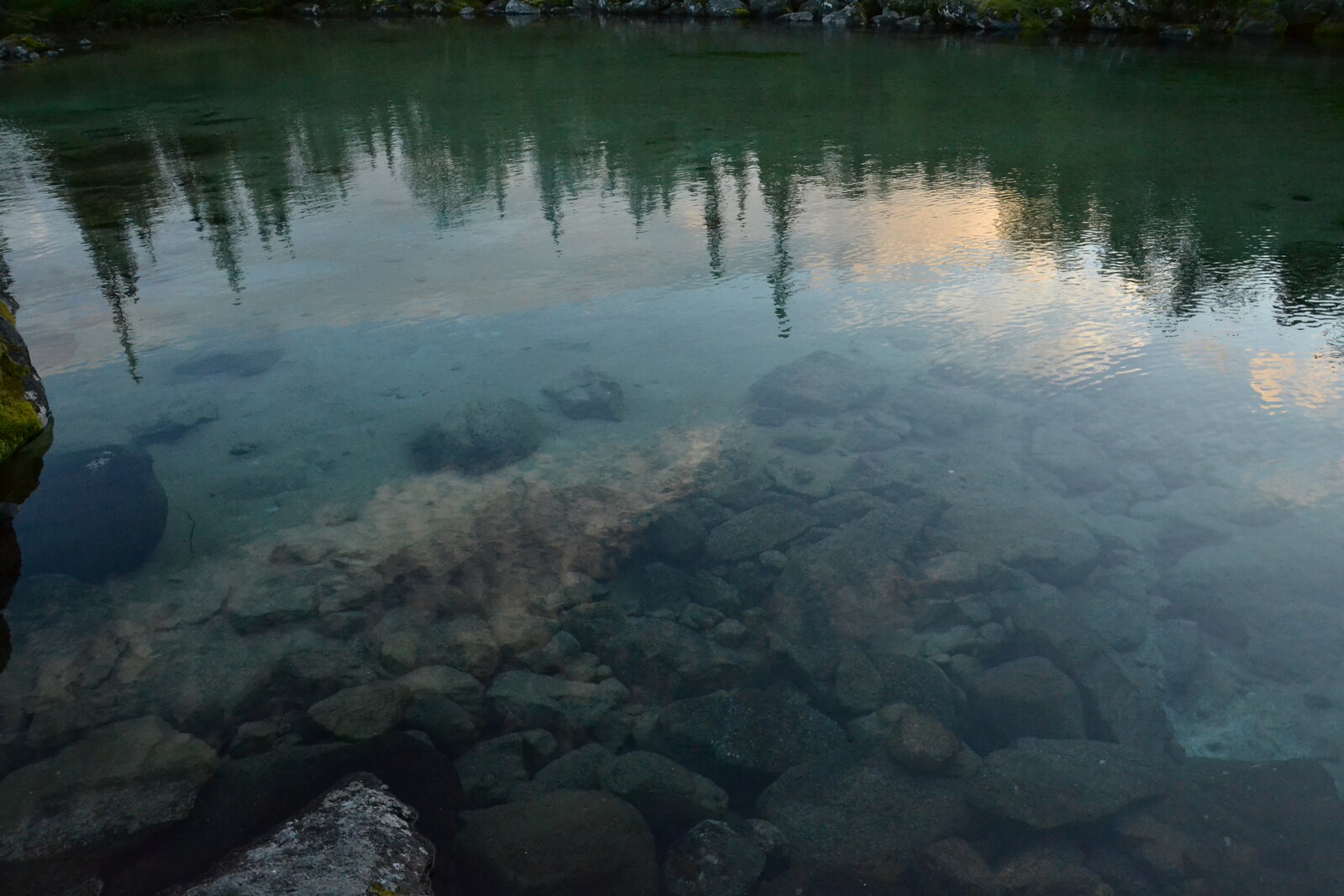 DSC_1402.JPG