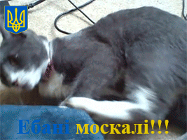 EMDIKEY_yapfiles.ru.gif