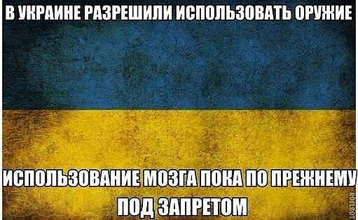 ez8goqzFPPw.jpg