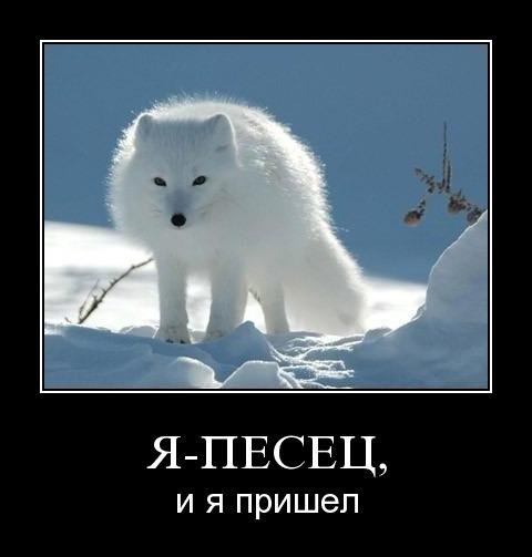 f4e23f8861e0.jpg