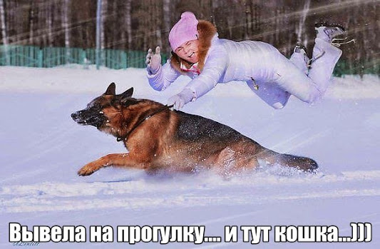 getImage+%281%29.jpg