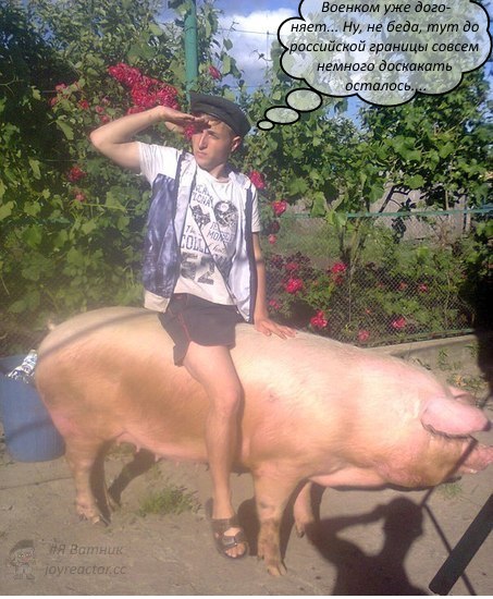 gxfGF1EwFac.jpg