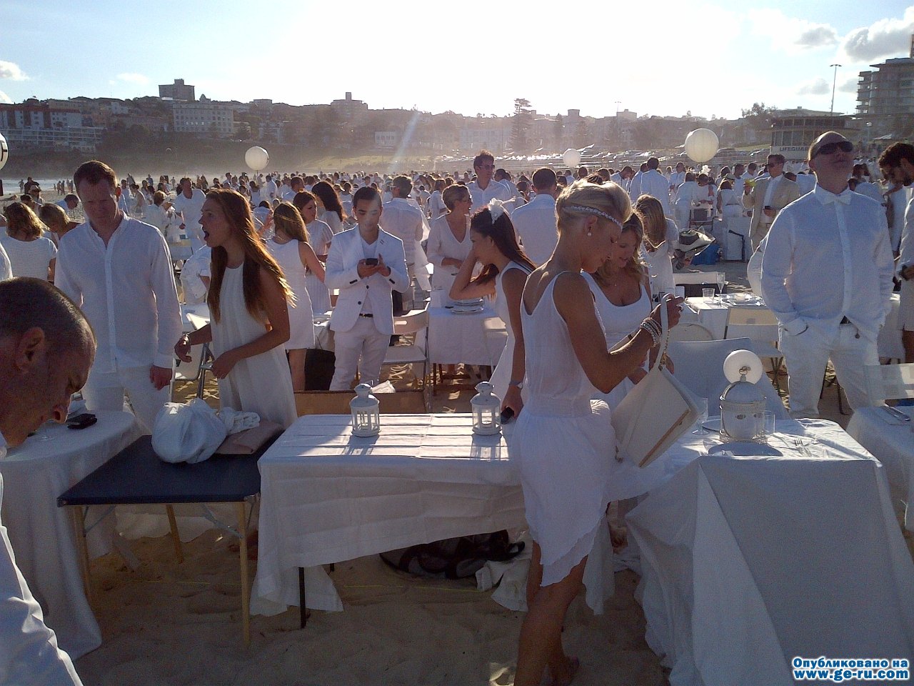 IMG-20131130-00765.jpg