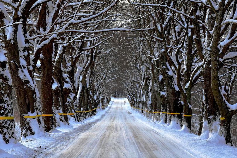 KGD_Winter_Road.jpg