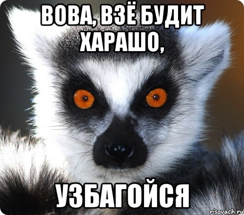 lemur_37596801_orig_.jpeg
