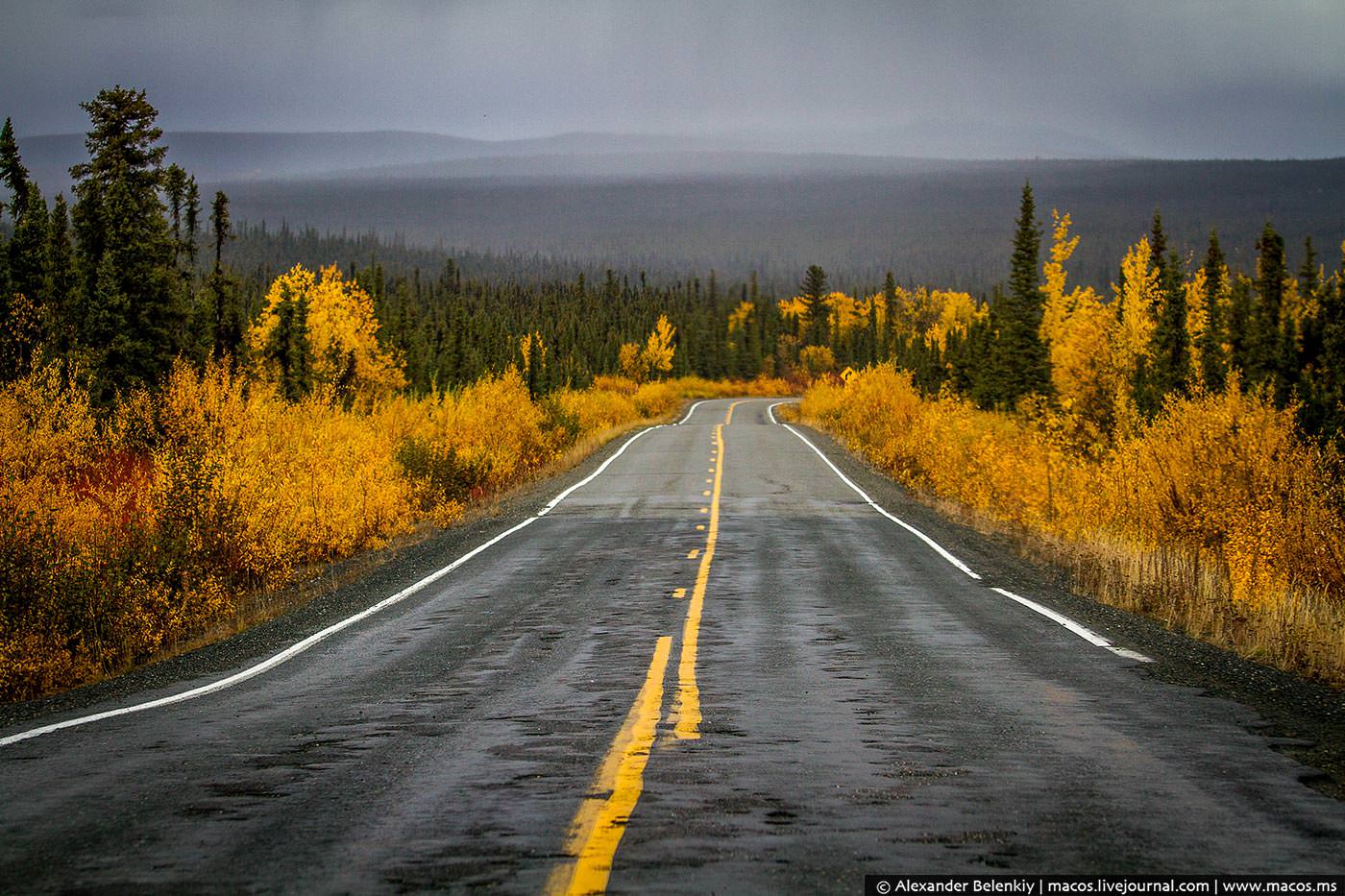 Дорога ищущих 4. Автомагистраль Аляска. Красивая дорога. Обои дорога. Американские дороги.