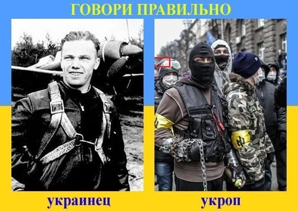 QYFaQGLoj8Q.jpg