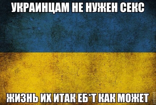 t3k9JbHWzPc.jpg