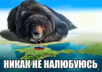 михКрым.jpg