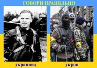QYFaQGLoj8Q.jpg