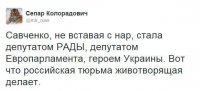 vjwKDPkV5zg.jpg
