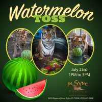 watermelon_toss2.jpg
