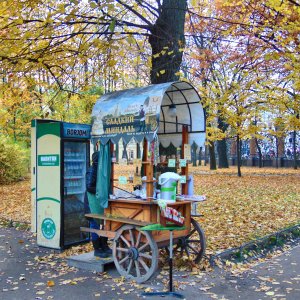 СПБ. Михайловский сад